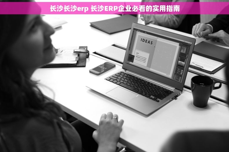长沙长沙erp 长沙ERP企业必看的实用指南