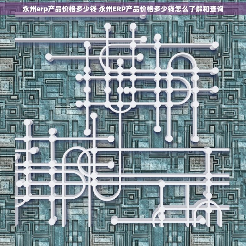 永州erp产品价格多少钱 永州ERP产品价格多少钱怎么了解和查询