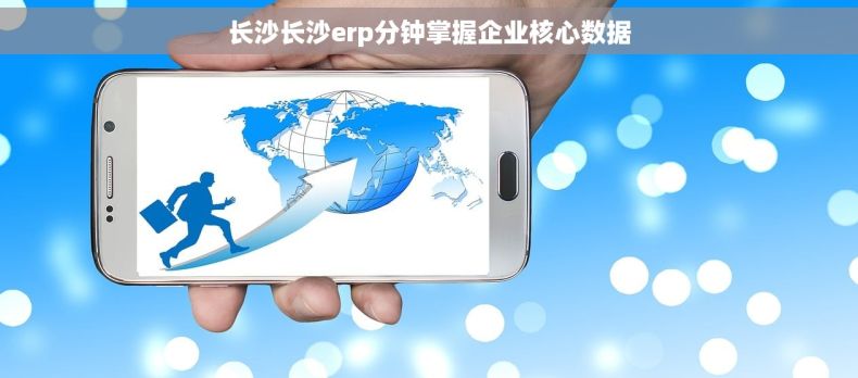 长沙长沙erp分钟掌握企业核心数据