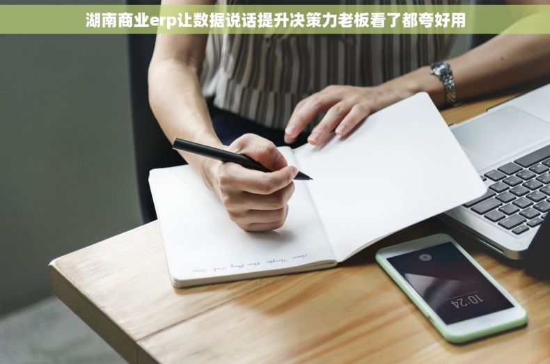 湖南商业erp让数据说话提升决策力老板看了都夸好用