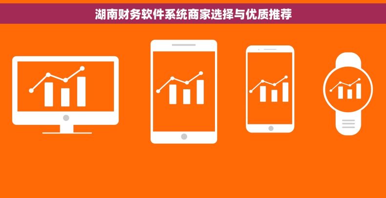 湖南财务软件系统商家选择与优质推荐