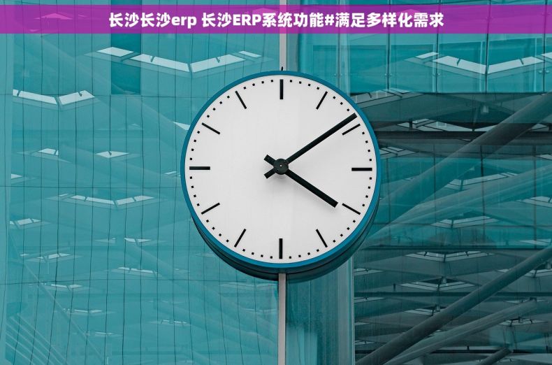 长沙长沙erp 长沙ERP系统功能#满足多样化需求