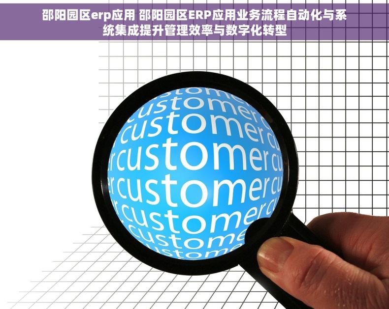 邵阳园区erp应用 邵阳园区ERP应用业务流程自动化与系统集成提升管理效率与数字化转型