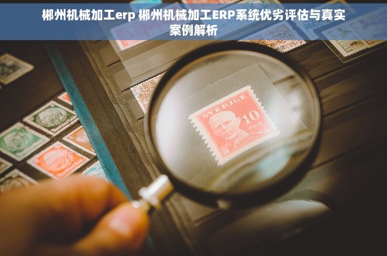 郴州机械加工erp 郴州机械加工ERP系统优劣评估与真实案例解析