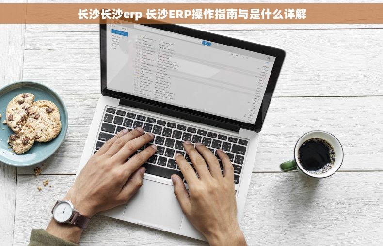 长沙长沙erp 长沙ERP操作指南与是什么详解