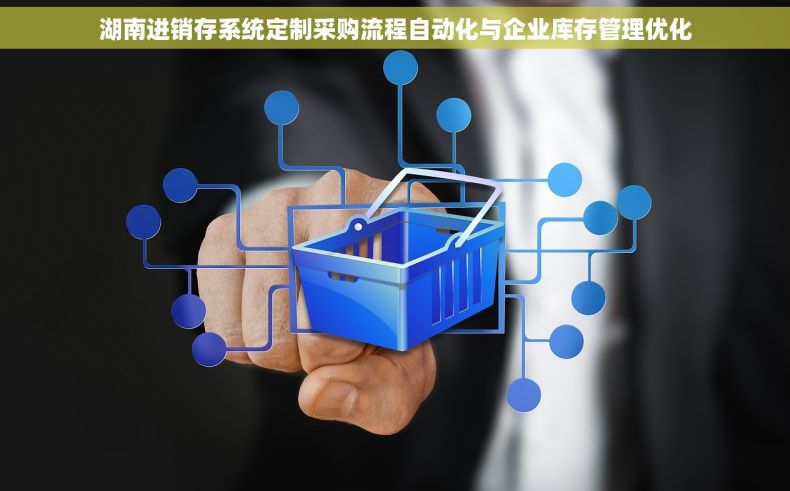 湖南进销存系统定制采购流程自动化与企业库存管理优化