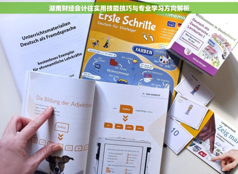 湖南财经会计往实用技能技巧与专业学习方向解析
