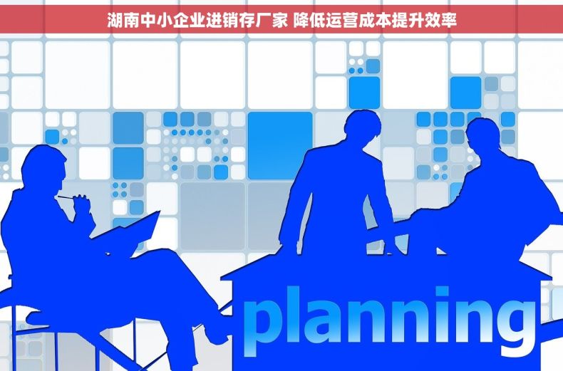 湖南中小企业进销存厂家 降低运营成本提升效率