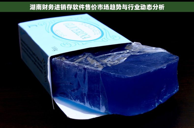 湖南财务进销存软件售价市场趋势与行业动态分析