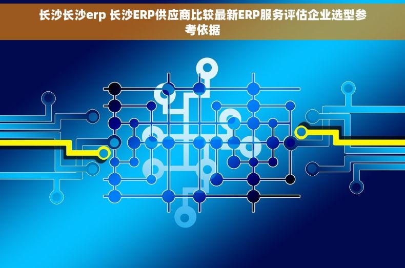 长沙长沙erp 长沙ERP供应商比较最新ERP服务评估企业选型参考依据
