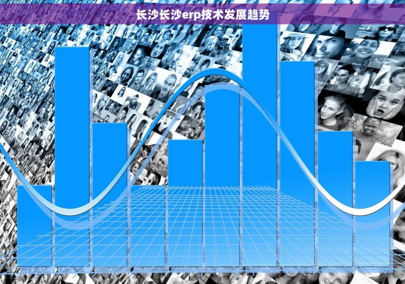 长沙长沙erp技术发展趋势