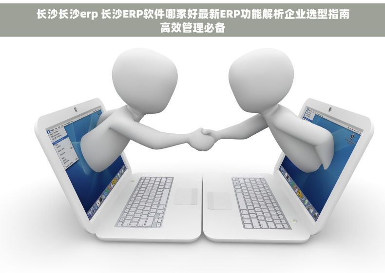 长沙长沙erp 长沙ERP软件哪家好最新ERP功能解析企业选型指南高效管理必备