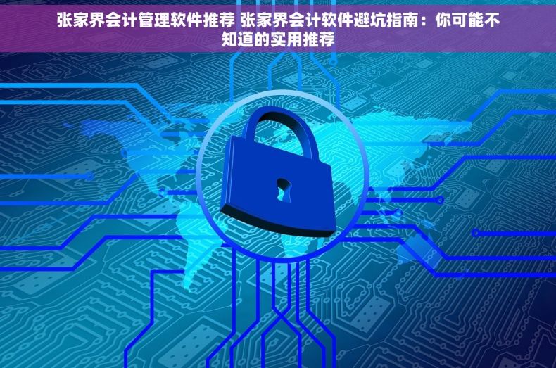 张家界会计管理软件推荐 张家界会计软件避坑指南：你可能不知道的实用推荐