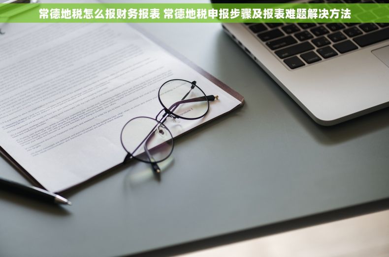 常德地税怎么报财务报表 常德地税申报步骤及报表难题解决方法