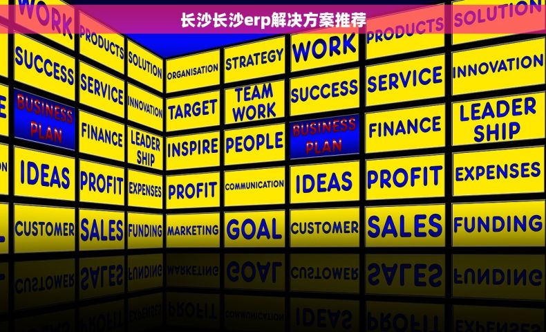 长沙长沙erp解决方案推荐