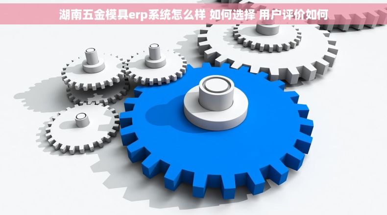 湖南五金模具erp系统怎么样 如何选择 用户评价如何