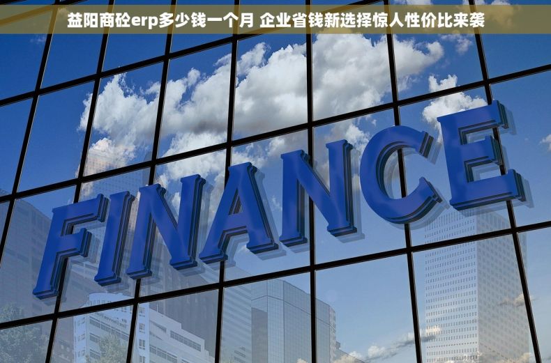 益阳商砼erp多少钱一个月 企业省钱新选择惊人性价比来袭