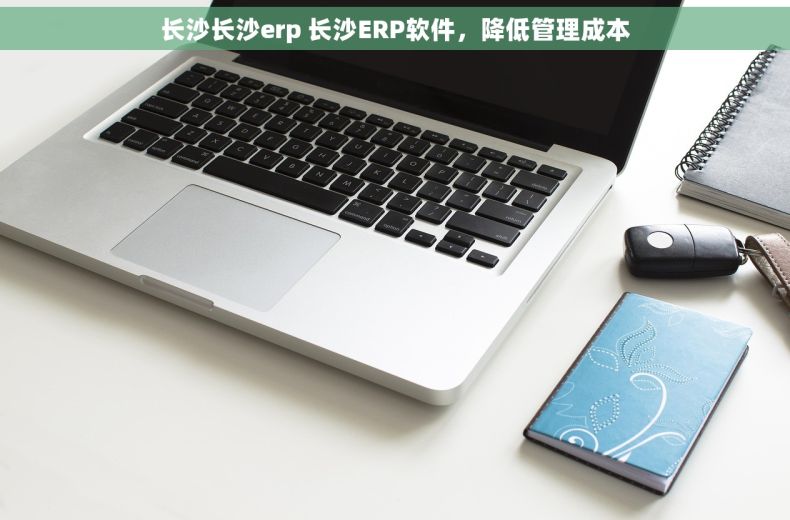 长沙长沙erp 长沙ERP软件，降低管理成本