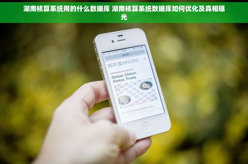湖南核算系统用的什么数据库 湖南核算系统数据库如何优化及真相曝光