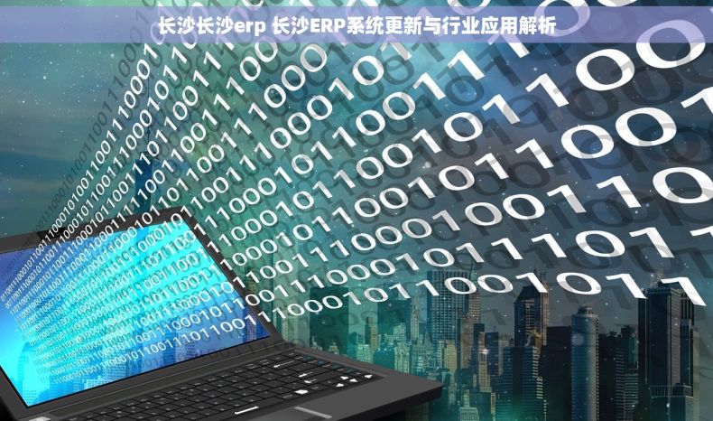 长沙长沙erp 长沙ERP系统更新与行业应用解析