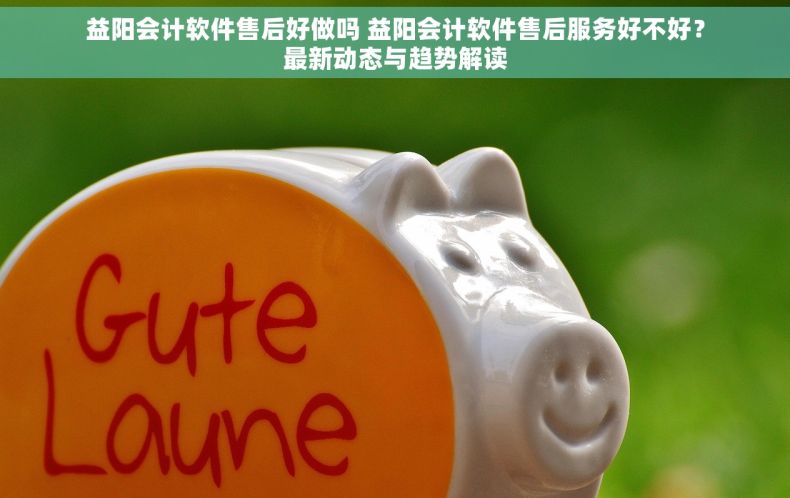 益阳会计软件售后好做吗 益阳会计软件售后服务好不好？最新动态与趋势解读