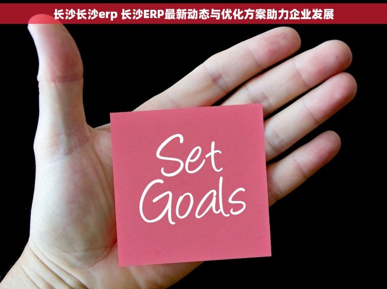 长沙长沙erp 长沙ERP最新动态与优化方案助力企业发展