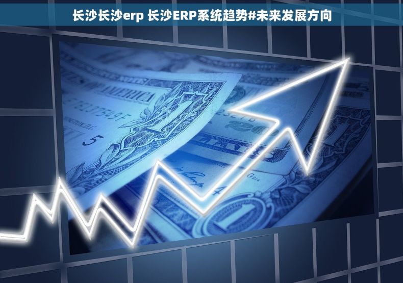 长沙长沙erp 长沙ERP系统趋势#未来发展方向