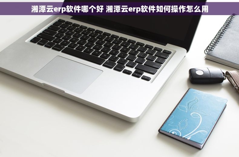 湘潭云erp软件哪个好 湘潭云erp软件如何操作怎么用