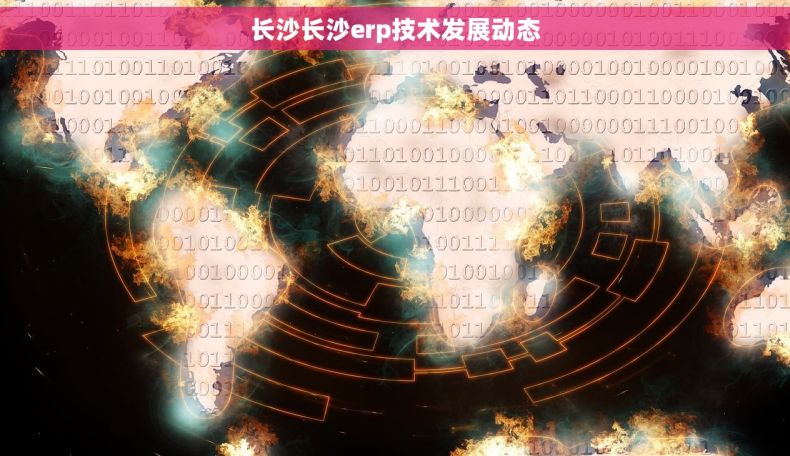 长沙长沙erp技术发展动态