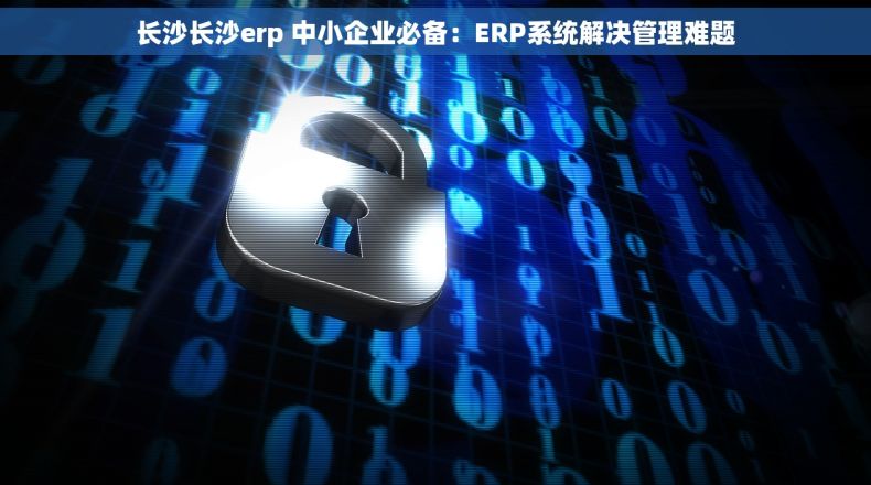长沙长沙erp 中小企业必备：ERP系统解决管理难题