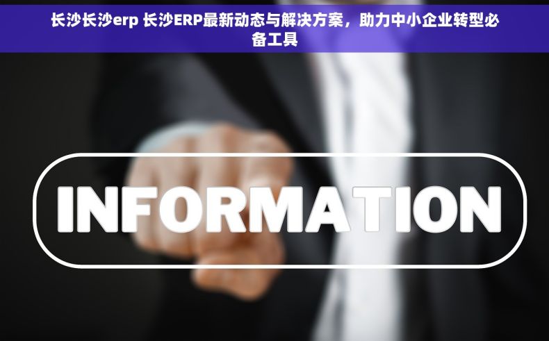 长沙长沙erp 长沙ERP最新动态与解决方案，助力中小企业转型必备工具