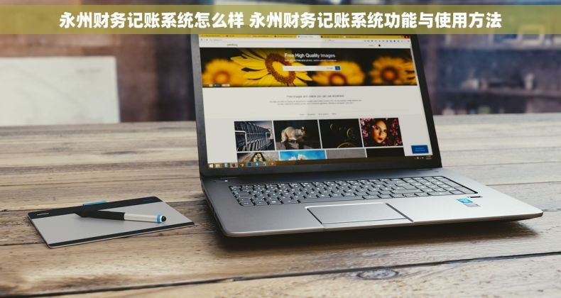 永州财务记账系统怎么样 永州财务记账系统功能与使用方法
