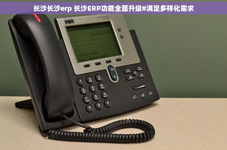 长沙长沙erp 长沙ERP功能全面升级#满足多样化需求