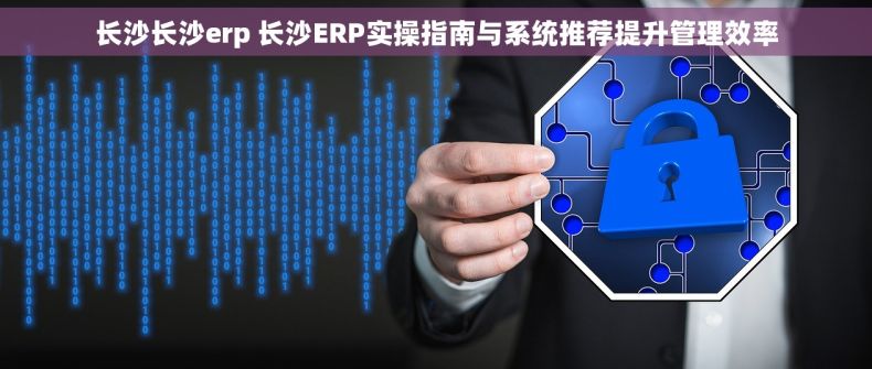 长沙长沙erp 长沙ERP实操指南与系统推荐提升管理效率