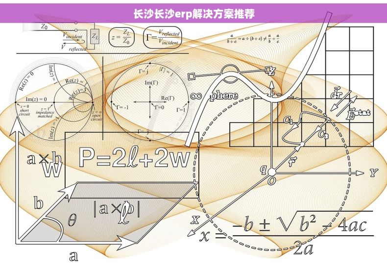 长沙长沙erp解决方案推荐