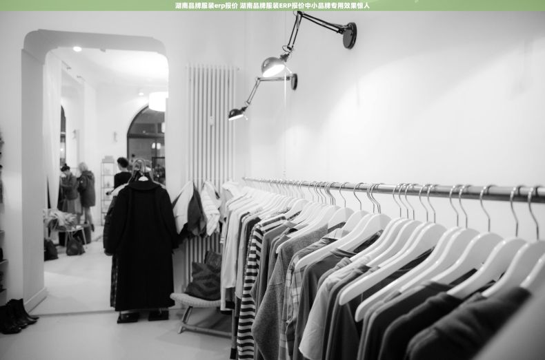 湖南品牌服装erp报价 湖南品牌服装ERP报价中小品牌专用效果惊人
