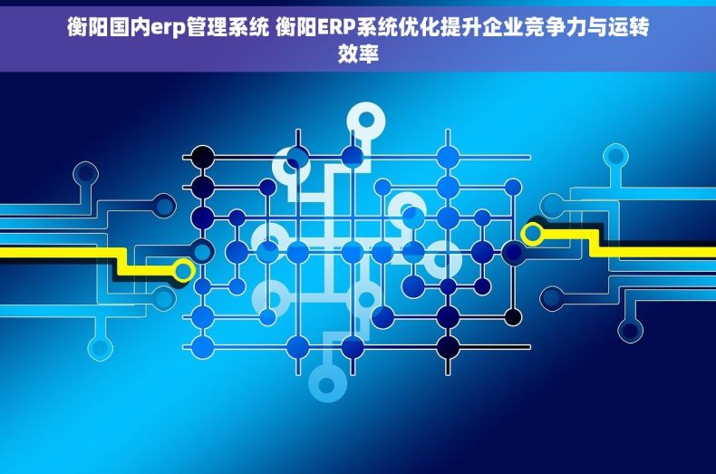 衡阳国内erp管理系统 衡阳ERP系统优化提升企业竞争力与运转效率