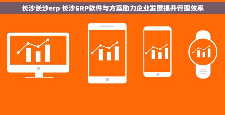 长沙长沙erp 长沙ERP软件与方案助力企业发展提升管理效率