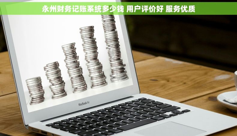 永州财务记账系统多少钱 用户评价好 服务优质