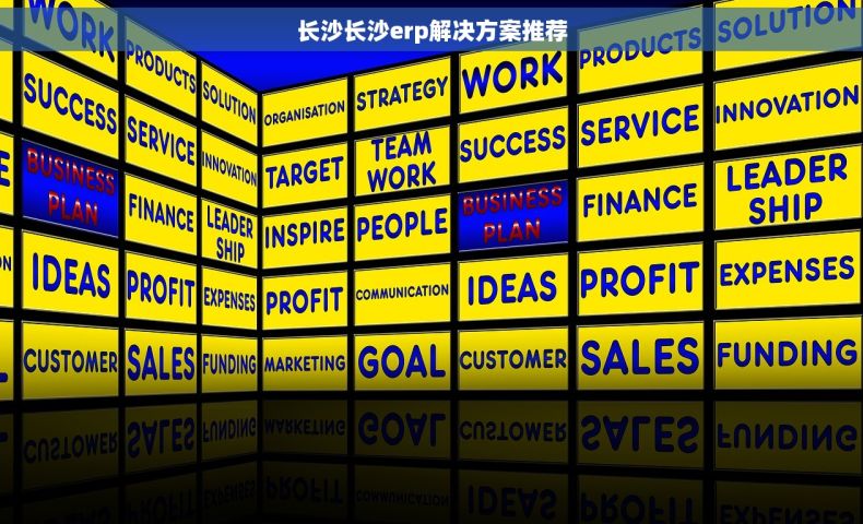 长沙长沙erp解决方案推荐
