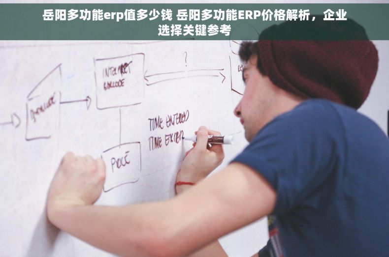 岳阳多功能erp值多少钱 岳阳多功能ERP价格解析，企业选择关键参考