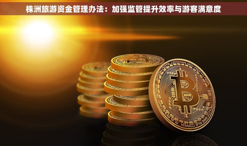 株洲旅游资金管理办法：加强监管提升效率与游客满意度