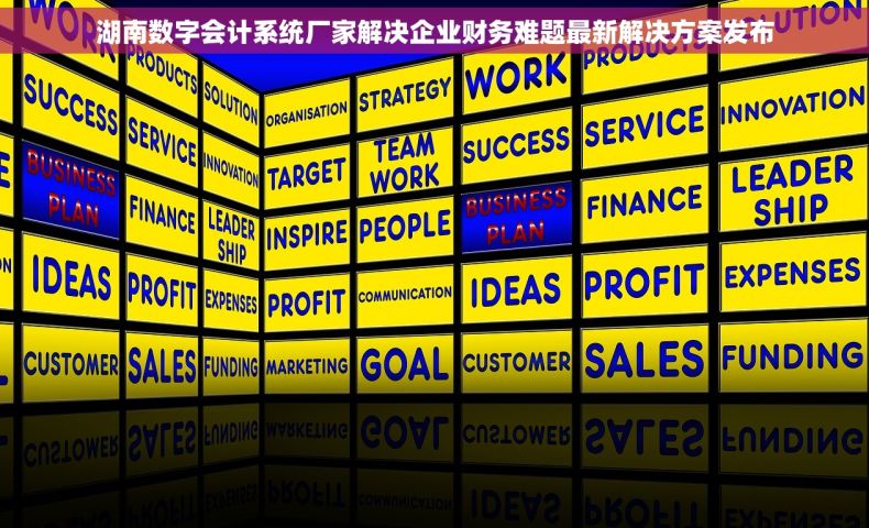 湖南数字会计系统厂家解决企业财务难题最新解决方案发布