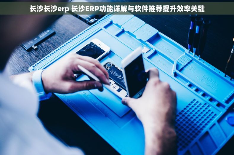 长沙长沙erp 长沙ERP功能详解与软件推荐提升效率关键