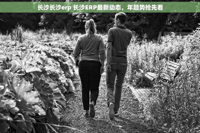 长沙长沙erp 长沙ERP最新动态，年趋势抢先看