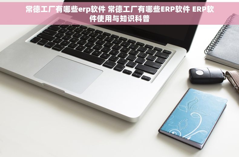 常德工厂有哪些erp软件 常德工厂有哪些ERP软件 ERP软件使用与知识科普