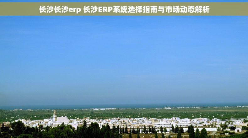长沙长沙erp 长沙ERP系统选择指南与市场动态解析
