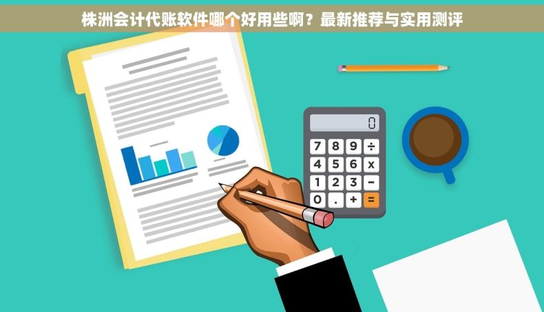 株洲会计代账软件哪个好用些啊？最新推荐与实用测评