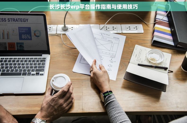 长沙长沙erp平台操作指南与使用技巧