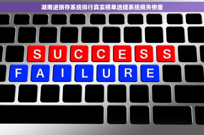 湖南进销存系统排行真实榜单选错系统损失惨重